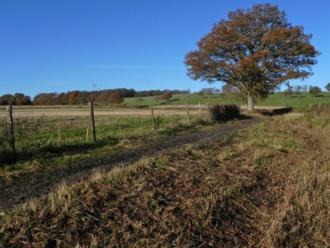 Photo of BW Entrance